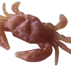 PATEIRO