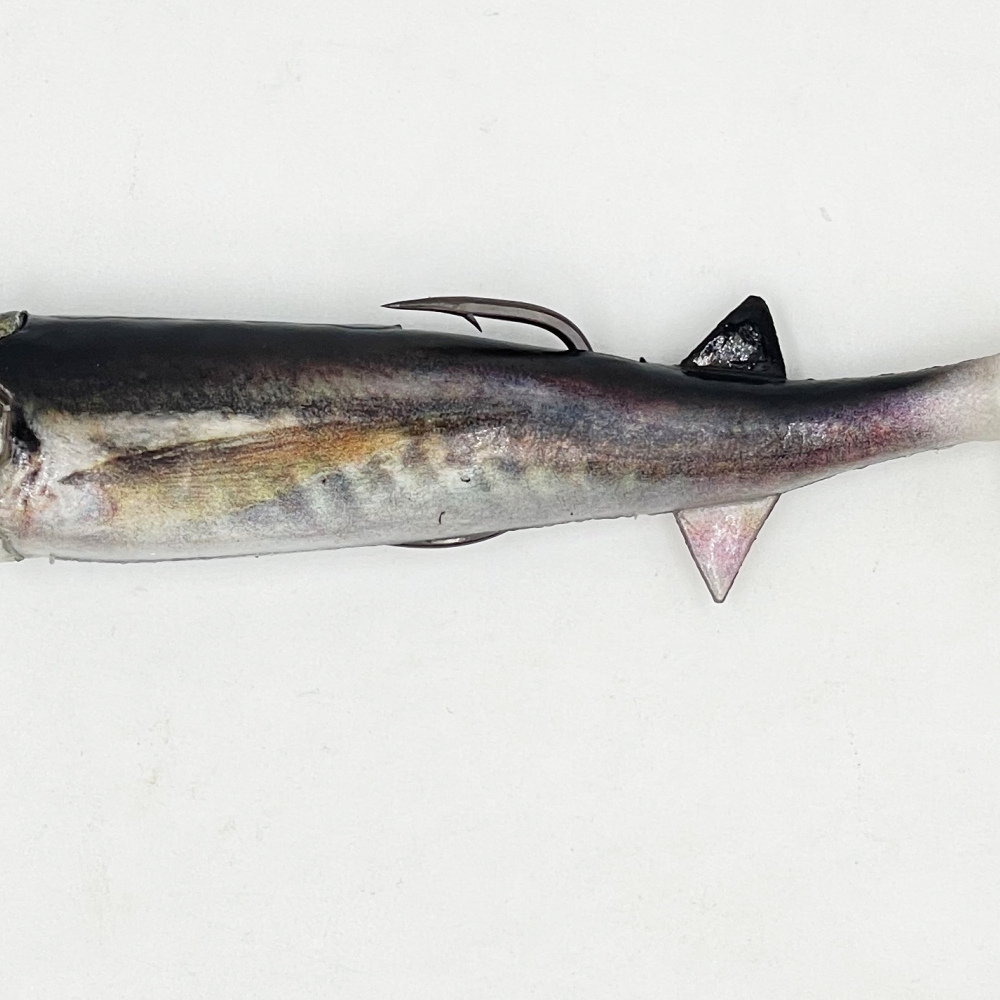 SABA 11GR-70MM REAL JACK