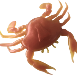 NEKORA 