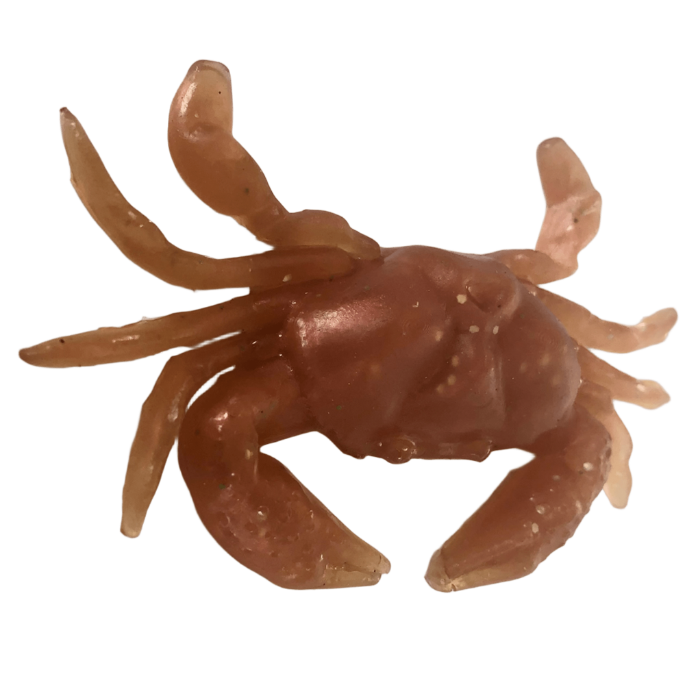 PATEIRO